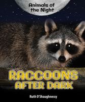 Raccoons_After_Dark