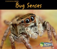 Bug_Senses