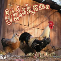 Chickens_on_the_Farm