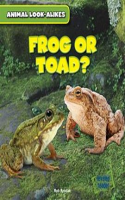 Frog_or_Toad_