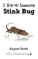 Stink_Bug