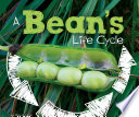 A_bean_s_life_cycle