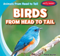 Birds_from_Head_to_Tail