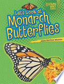 Let_s_look_at_monarch_butterflies