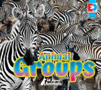 All_About_Animals_-_Animal_Groups