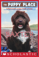 Baxter__The_Puppy_Place__19_
