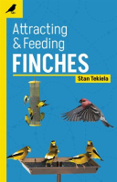 Attracting___Feeding_Finches