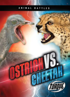 Ostrich_vs__Cheetah