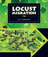 Locust_Migration
