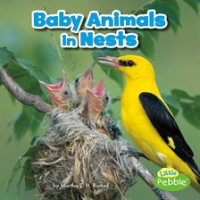 Baby_Animals_in_Nests