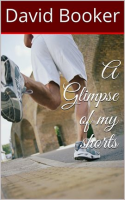 A_Glimpse_of_My_Shorts