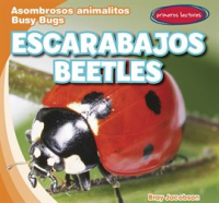 Escarabajos___Beetles