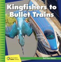 Kingfishers_to_Bullet_Trains