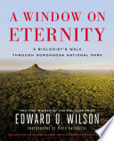 A_window_on_eternity
