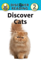 Discover_Cats