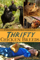 Thrifty_Chicken_Breeds__Efficient_Producers_of_Eggs_and_Meat_on_the_Homestead