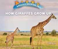 How_Giraffes_Grow_Up