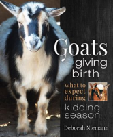Goats_Giving_Birth
