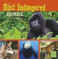 The_Most_Endangered_Animals_in_the_World