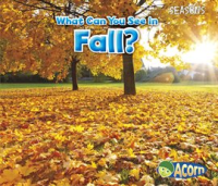 What_Can_You_See_in_Fall_