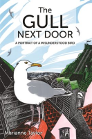 The_Gull_Next_Door