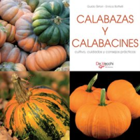 Calabazas_y_calabacines_-_cultivo__cuidados_y_condejos_pr__cticos