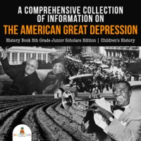 A_Comprehensive_Collection_of_Information_on_the_American_Great_Depression