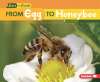 From_egg_to_honeybee