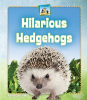 Hilarious_Hedgehogs