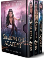 Shadowlight_Academy_Box_Set__A_RH_New_Adult_YA_Fantasy_Series