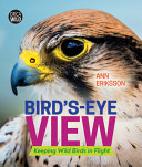 Bird_s-eye_view