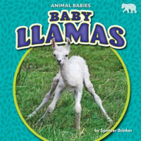 Baby_Llamas