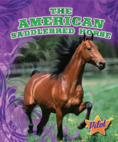 The_American_Saddlebred_Horse