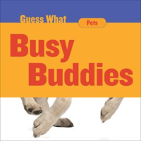 Busy_Buddies