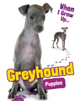 Greyhound_Puppies