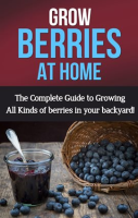 Grow_Berries_At_Home