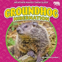 Groundhog_Hibernation