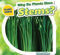 Why_Do_Plants_Have_Stems_
