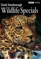 Wildlife_specials