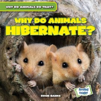 Why_Do_Animals_Hibernate_