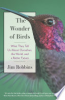 The_wonder_of_birds