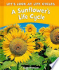 A_sunflower_s_life_cycle