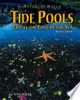 Tide_pools