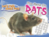 The_facts_on_rats