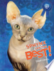 Sphynx_are_the_best_