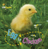 Egg_to_chicken