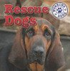 Rescue_dogs