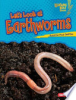 Let_s_look_at_earthworms