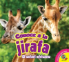 Conoce_a_la_jirafa