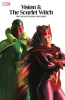 Vision___The_Scarlet_Witch__The_Saga_of_Wanda_and_Vision